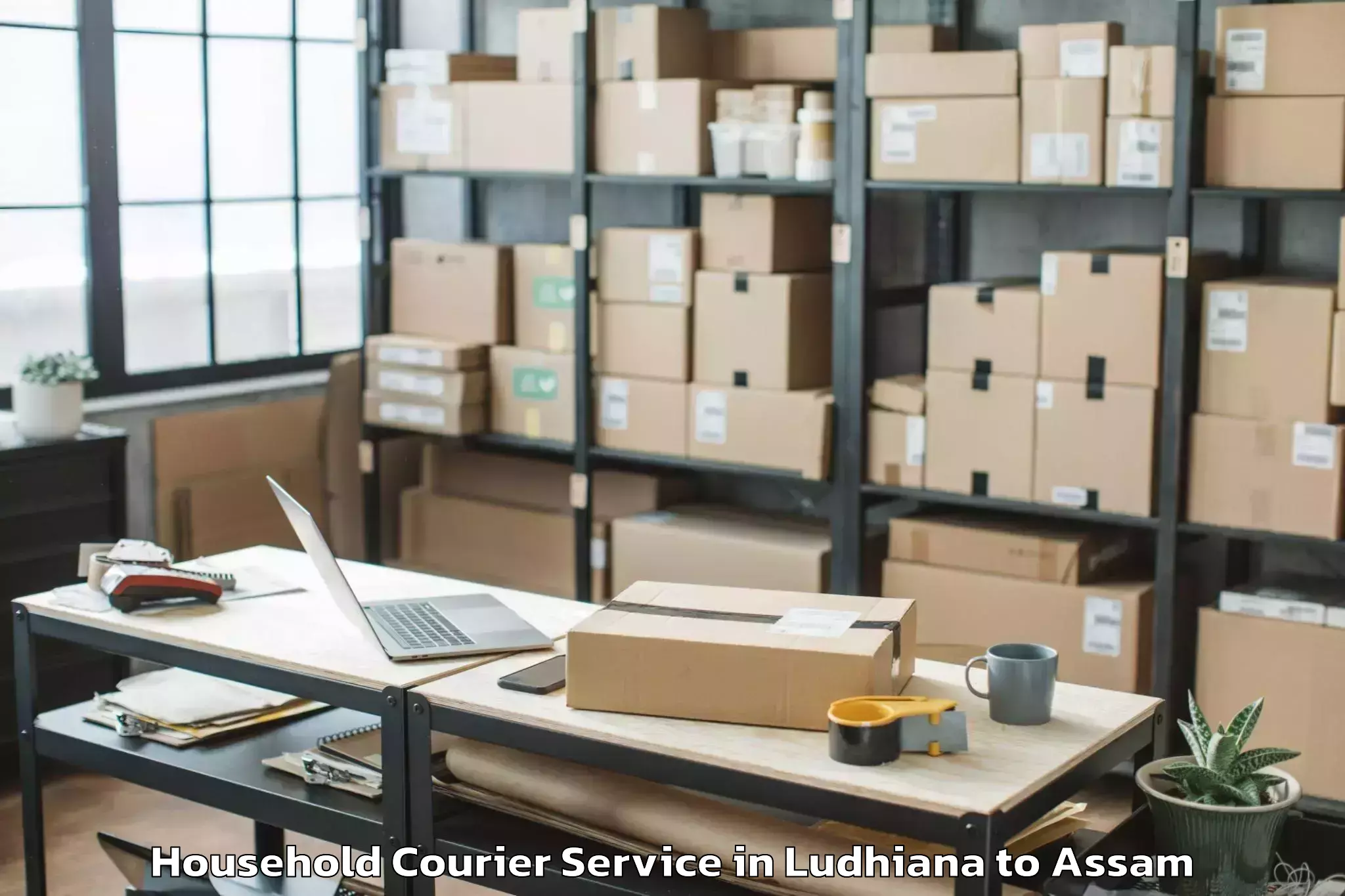 Quality Ludhiana to Patharighat Household Courier